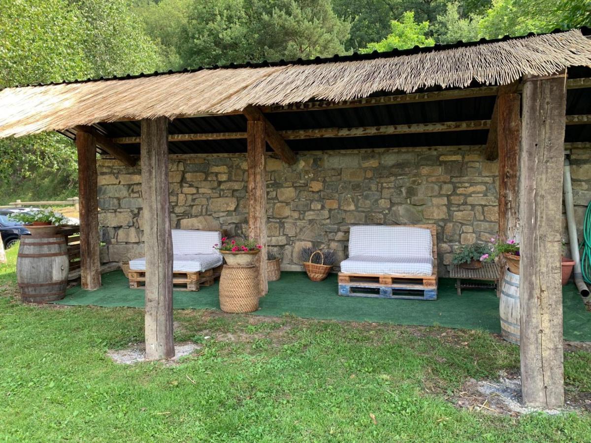 Apartamentos Vina Olivan Sarvisé Buitenkant foto