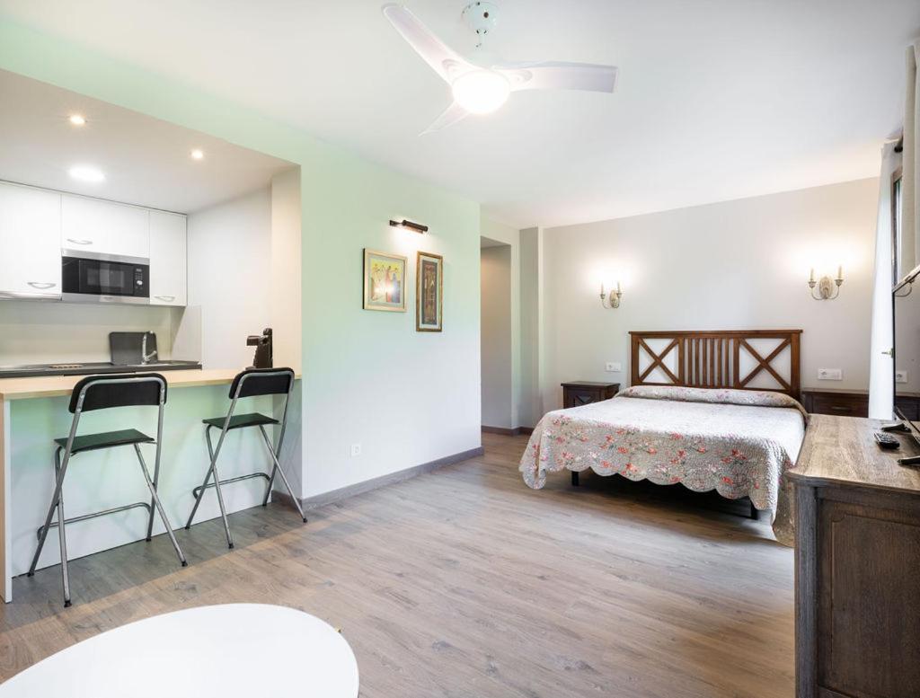 Apartamentos Vina Olivan Sarvisé Buitenkant foto